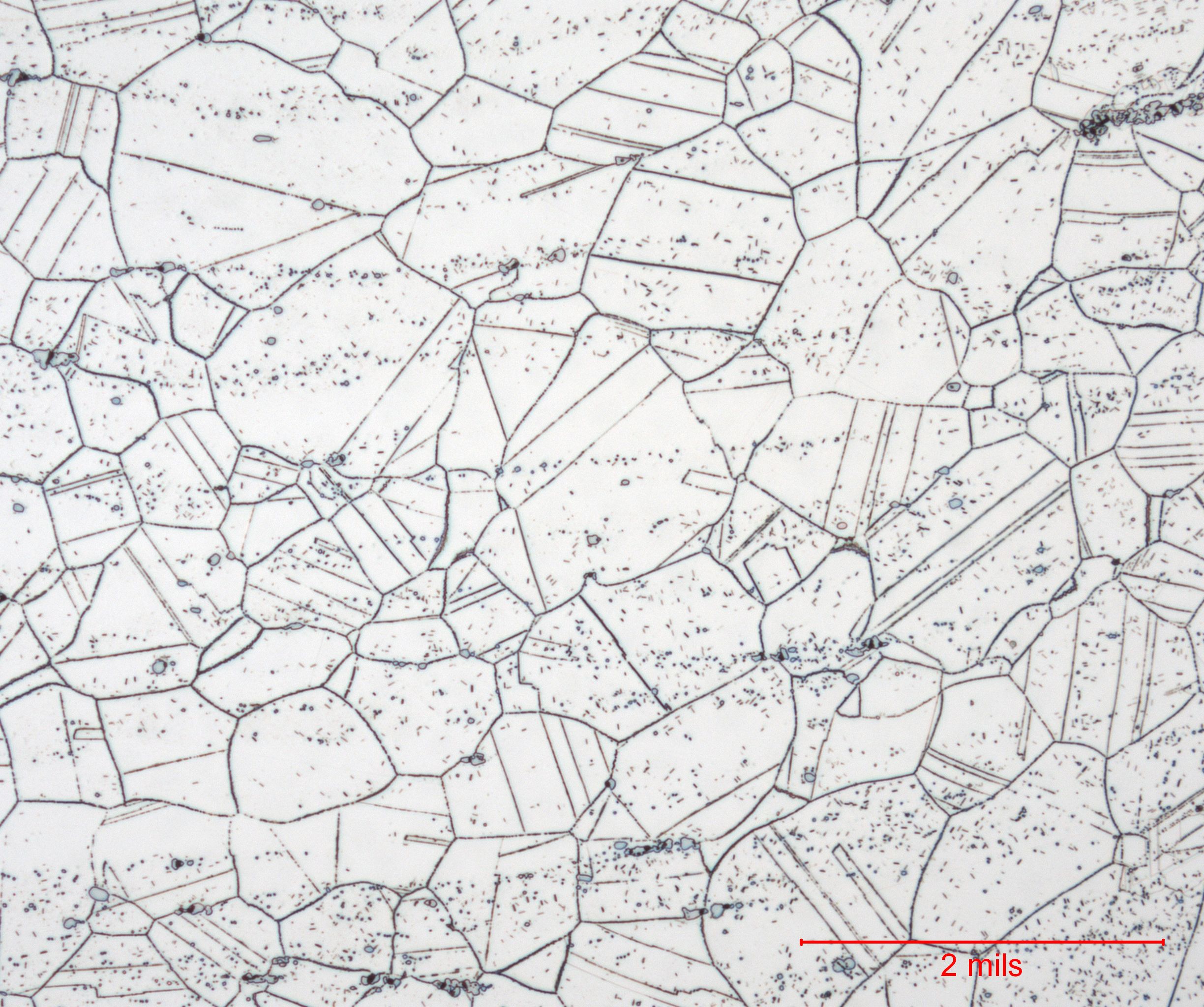 Hastelloy X Metallography with Neel