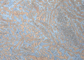 Duplex Stainless Steel (2205)