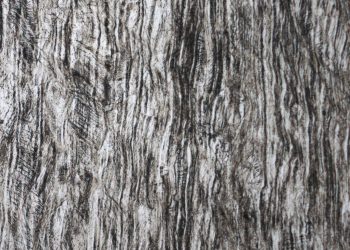 Stainless and Carbon Steel Fasteners